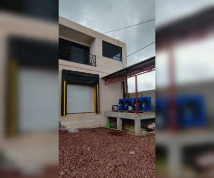 Aguacate Image5